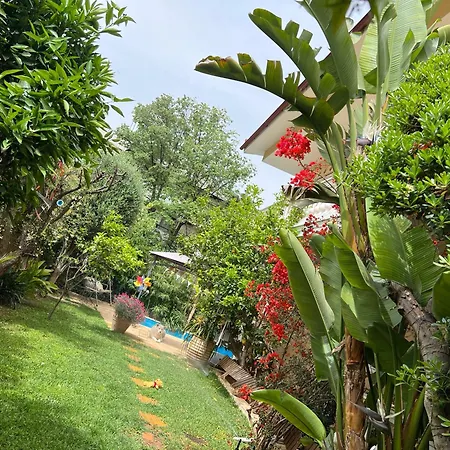 Pj Garden House Athens